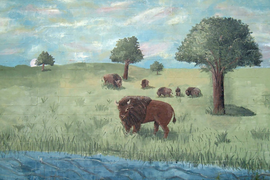 mural of bisons in a field